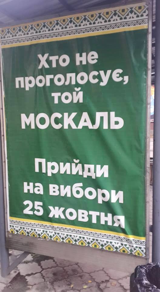 12038032 954846307887101 8367383215127226796 n
