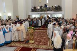 DSC 0273 hCopyx thumbnail