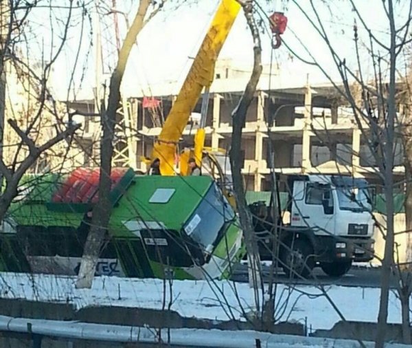 1362480.1.1486365889