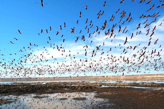 e9OV7614920037943680 b