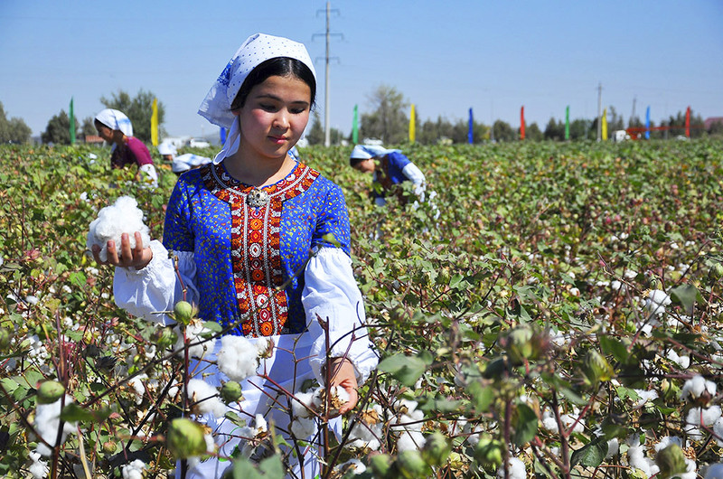 США отказались от  «рабского» хлопка из Туркмении