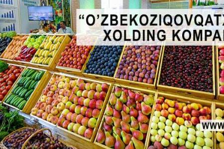 «Узбекозиковкатхолдинг» ликвидируют