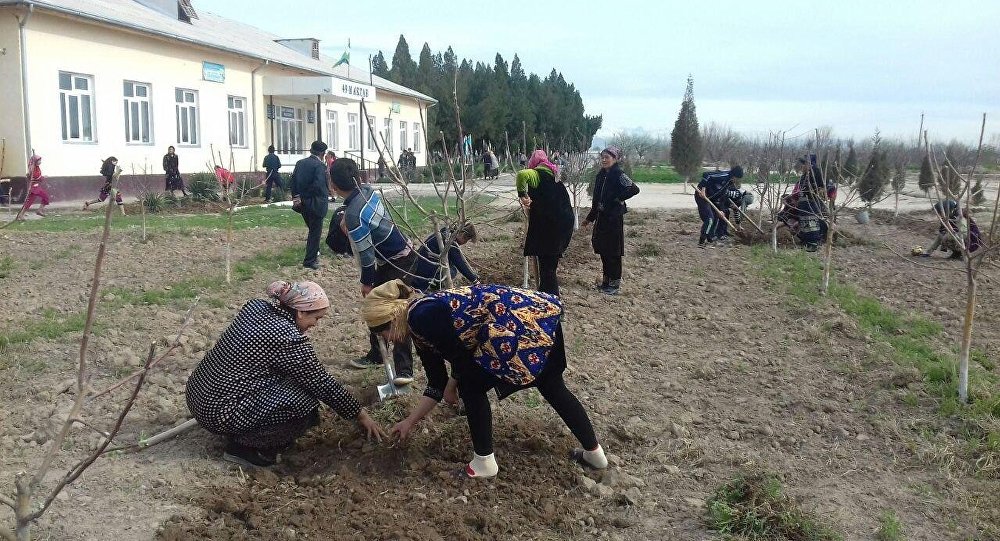 Джизакских школьников и учителей «припахали» на хашаре