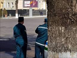 Сотрудникам ДПС запретили засады