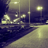 Учащаяся колледжа свела счеты с жизнью