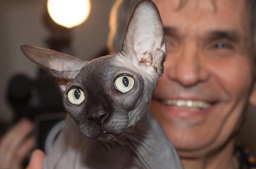 Бари Алибасову подсунули кота за 800 тысяч рублей