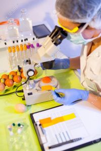 Сотрудники лаборатории вымогали с торговцев яйца и молоко в Ташкенте