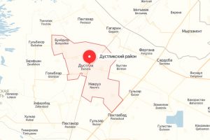 Семья отравилась угарным газом в Дустликском районе