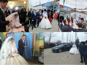 Свадьба отгуляла на избирательном участке в Сырдарьинской области