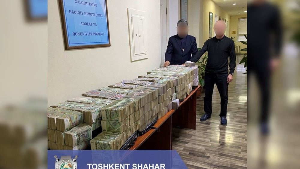 За вырубленную рощу в Ташкенте оштрафовали на $ 200 000