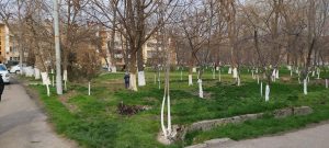 Жители улицы Темирйулчилар сражаются с застройщиками за родной дворик в Ташкенте