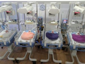 Братья-четверняшки родились в Намангане