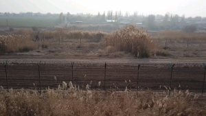 Узбекистан построит город-спутник на границе с Казахстаном