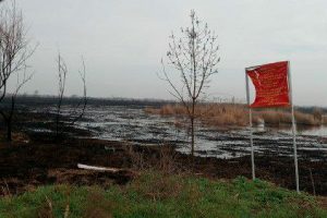 Почти 150 га лесного охотничьего хозяйства сгорело в Сырдарье