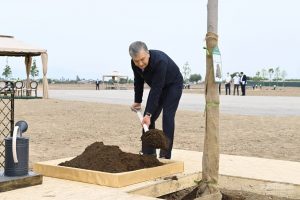 Место комплекса «Истиклол» перенесли от «Голубых куполов» в Кибрайский район