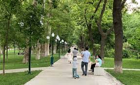 Ташкентцев стало более 2,7 млн: с начала года родились 13,3 тыс., умерли - 4 тыс.ыс.