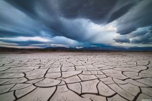 ООН анонсирует новую пандемию, от которой нет вакцины