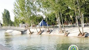 Ташкентец погиб при спасении тонущей девушки из канала Анхор