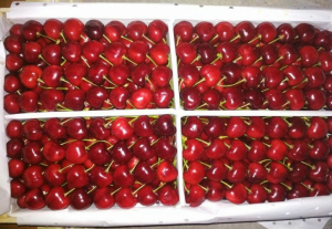 Псевдо-узбекскую черешню «тормознули» в Омске