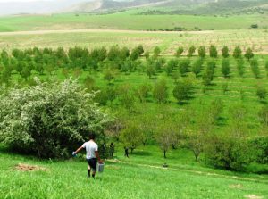 Сделку по продаже участка в Бостанлыкском районе за  млн сорвали в Ташкенте
