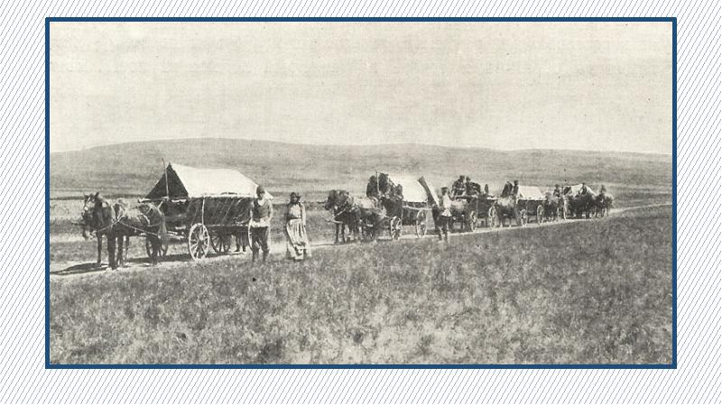 Столыпин бы удивился: узбеки пошли в Россию за землей