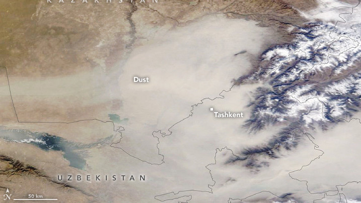 Пыльную бурю над Ташкентом посчитали самой грязной в мире