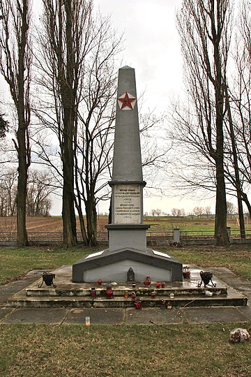 Поляки в прямом эфире разрушили памятник солдатам Красной армии