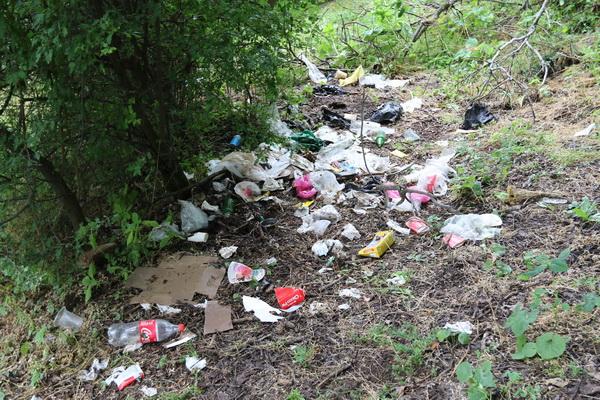 Чарвак-2022: обдираловка и бардак