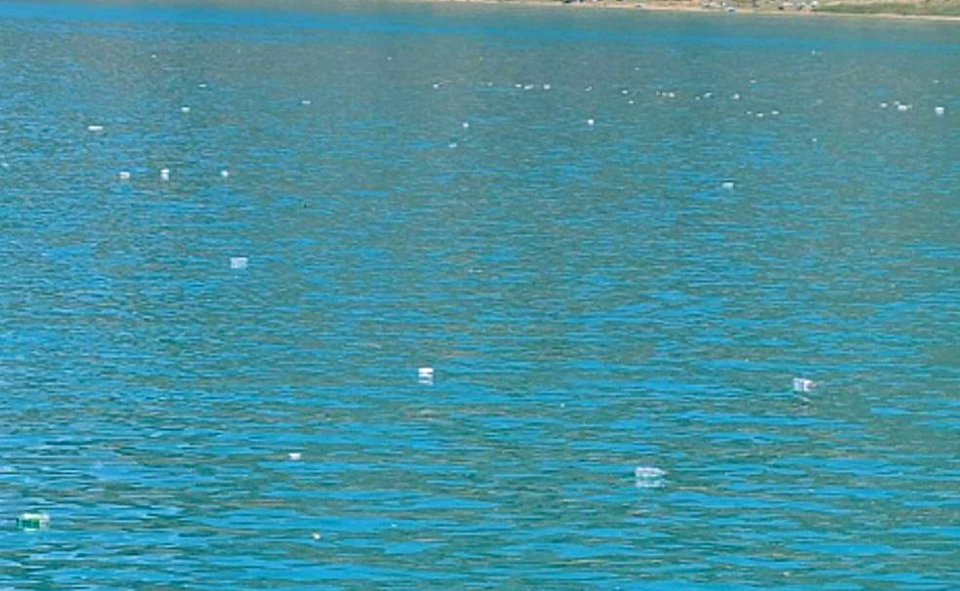 Чарвак-2022: обдираловка и бардак