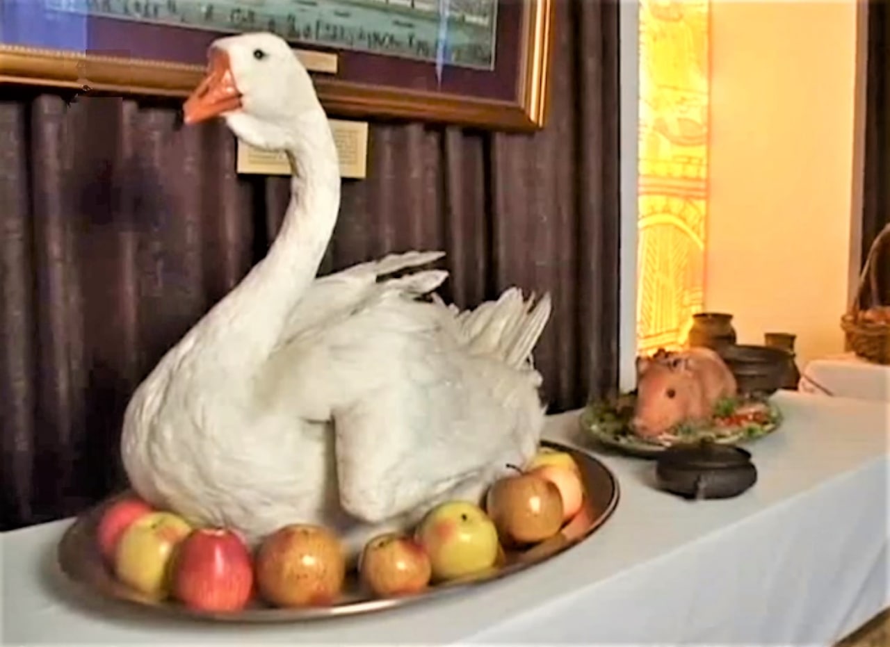 Ташкентская семья пообедала лебедем из Central Park