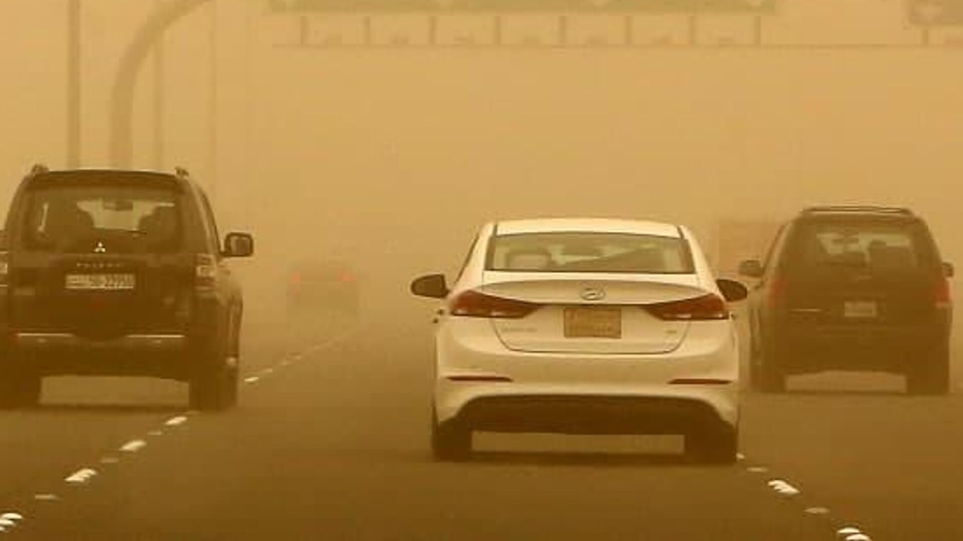 Названы главные причины пыльных бурь в Ташкенте