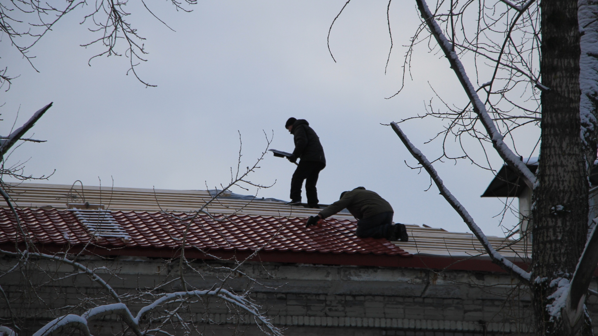 В Ленинградской области с крыши цеха упал и разбился узбек