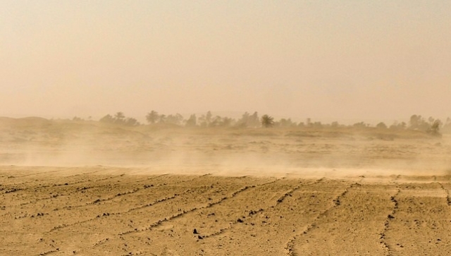Завтра Узбекистан накроют тучи пыли