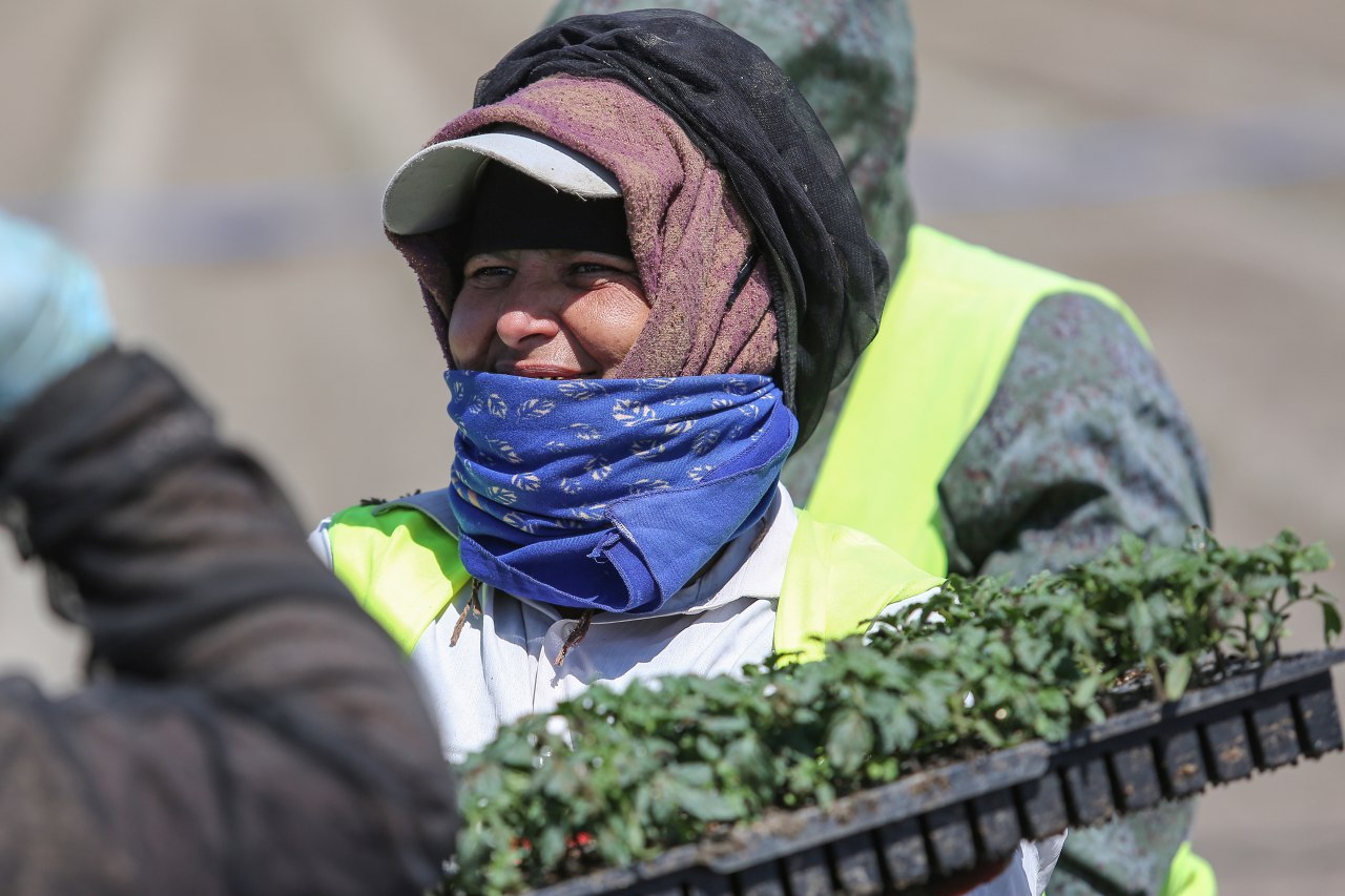 Узбекские невольники вернулись на родину с Украины.