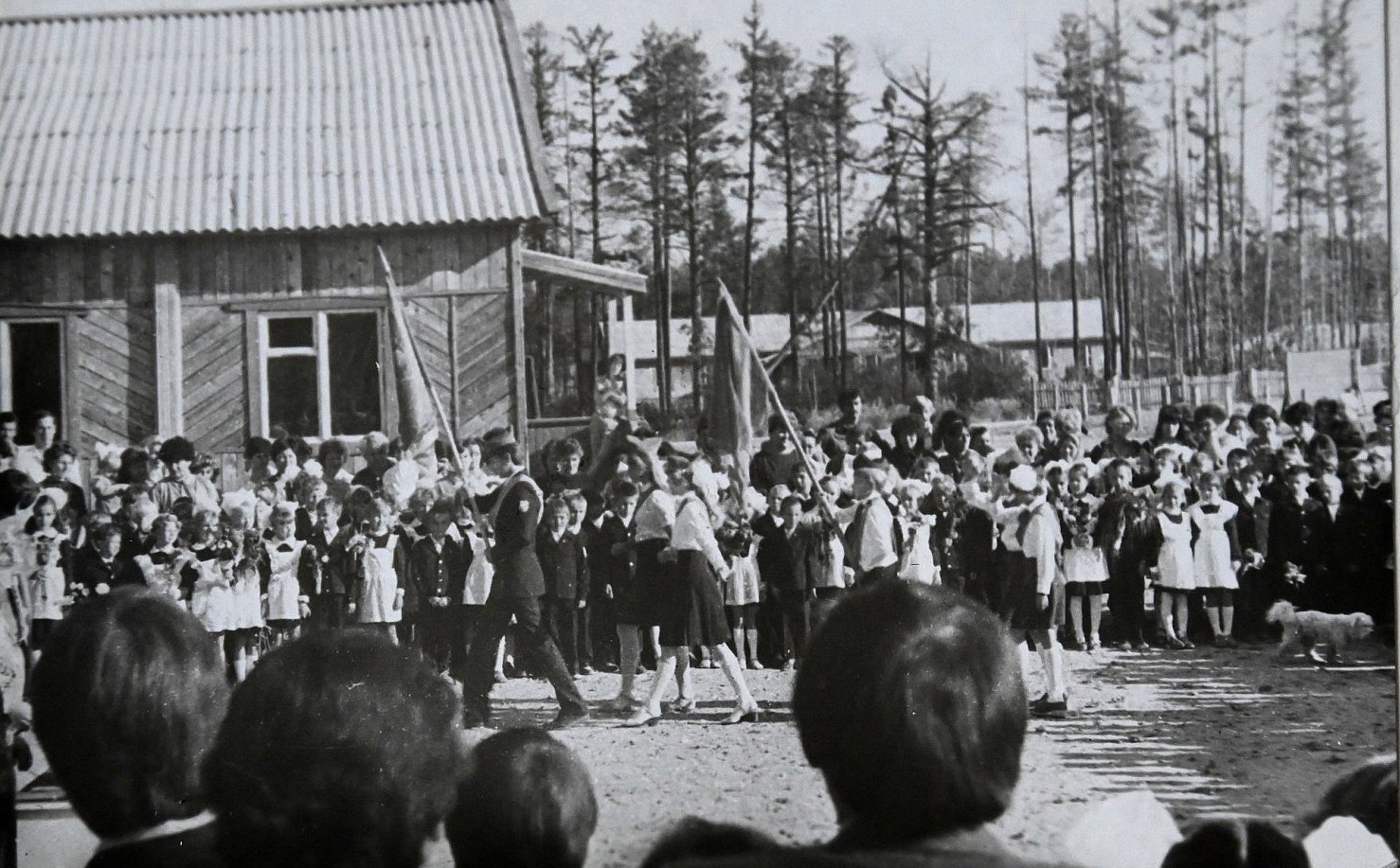 Узбекская ветвь родословной БАМа