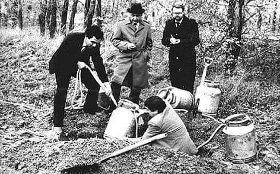 По следам «хлопкового дела»