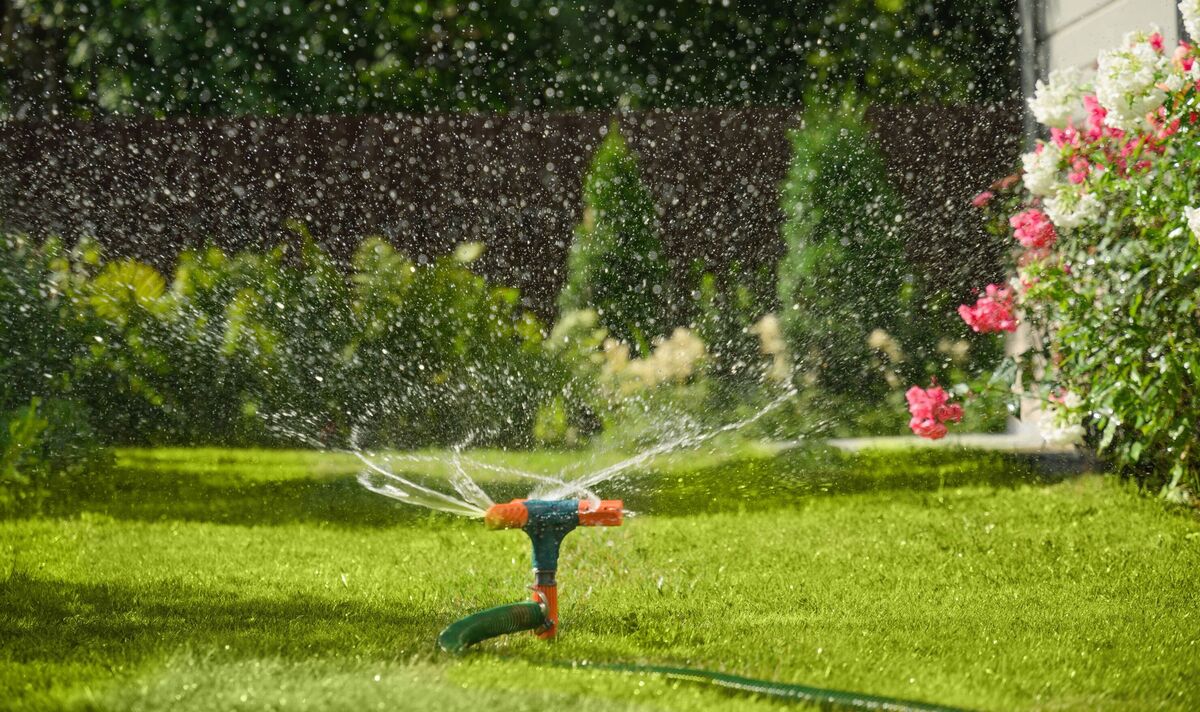 Мирзиеев вернул полив палисадников у многоэтажек.